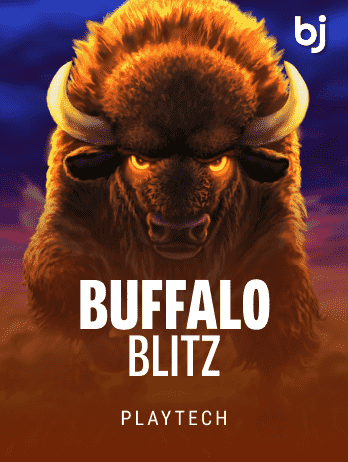 Buffalo Blitz game cover